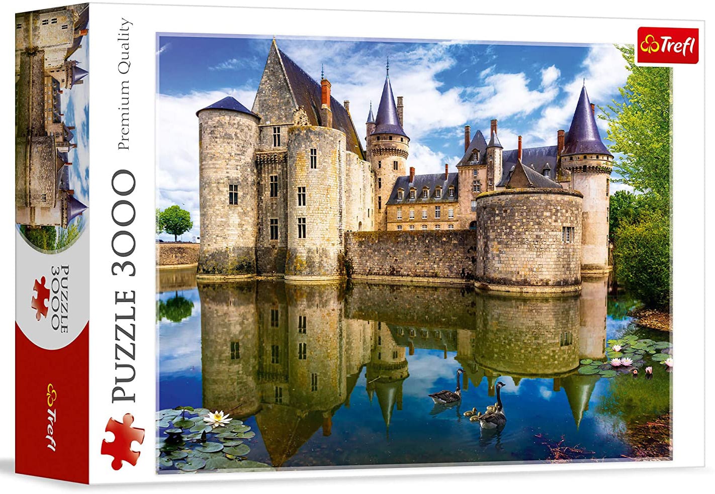 Castle in Sully-sur-Loire, France