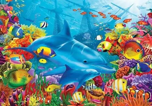 Dolphin Shipwreck Sea Life