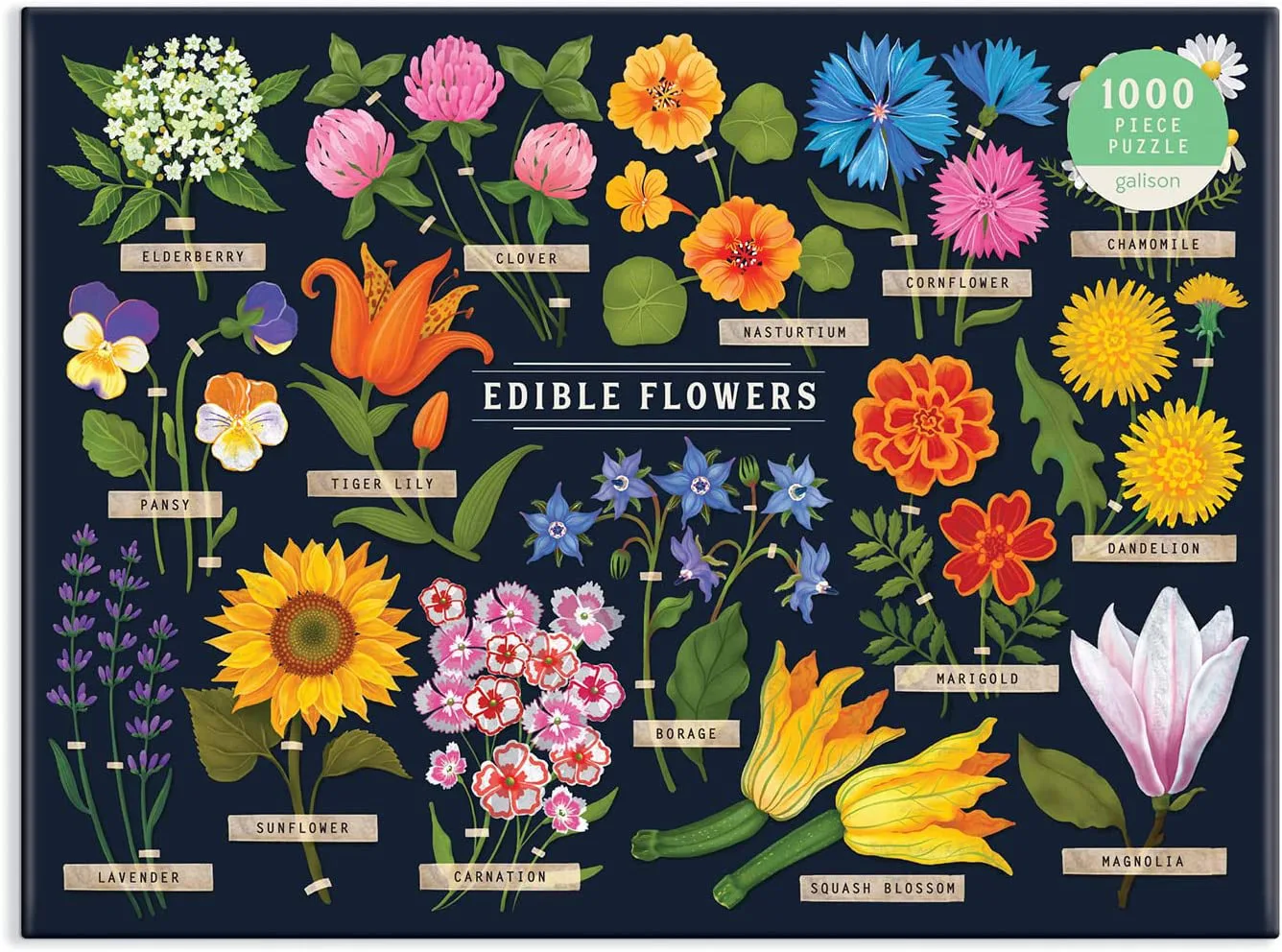 Edible Flowers Flower & Garden