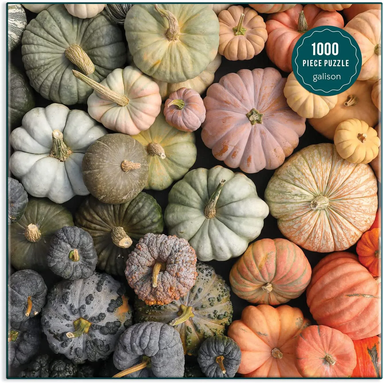 Heirloom Pumpkins Fall