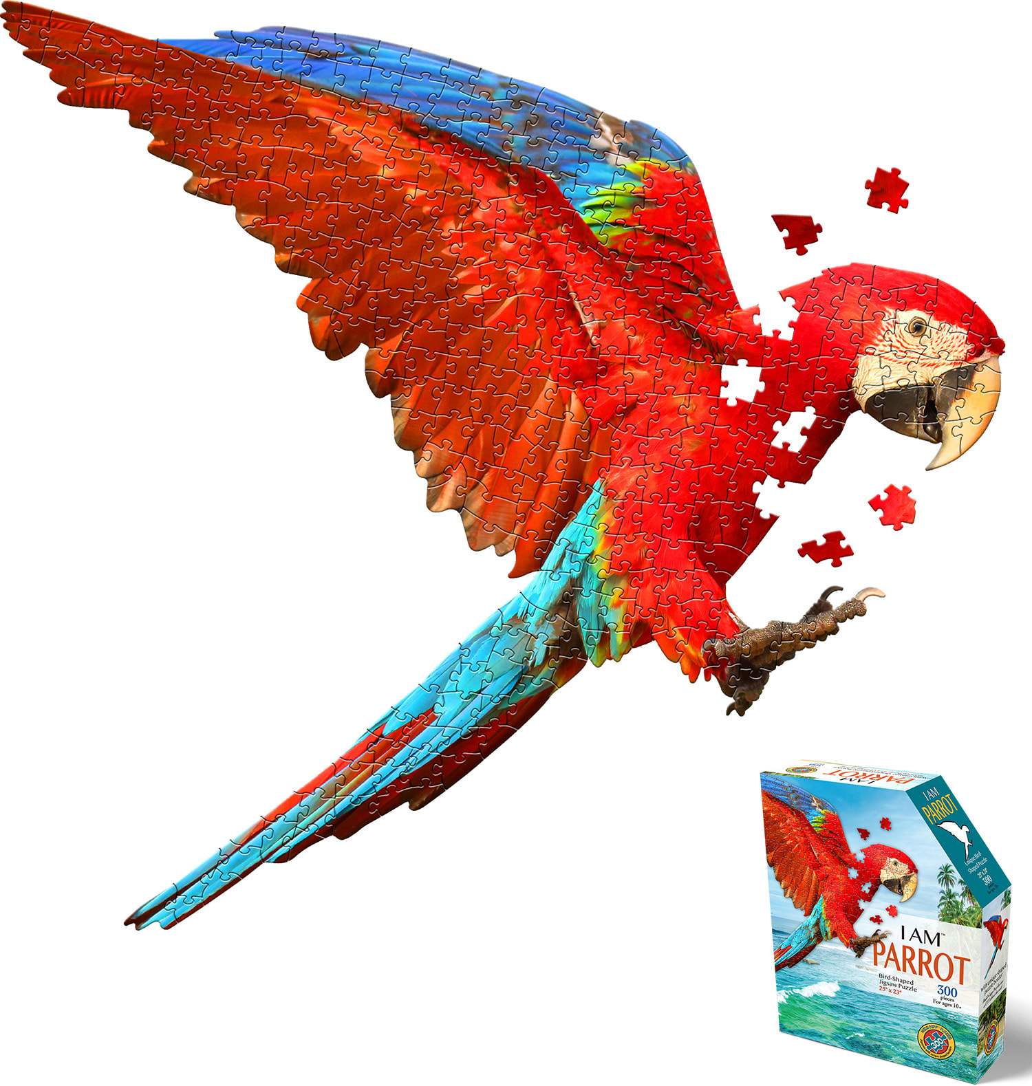 I Am Parrot Birds