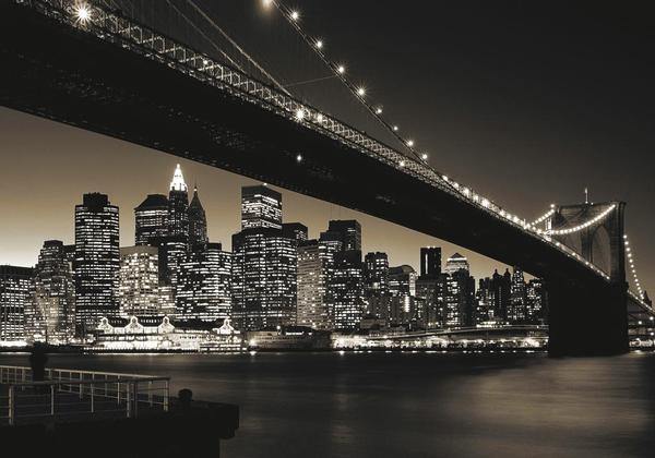 Manhattan & Brooklyn Bridge New York