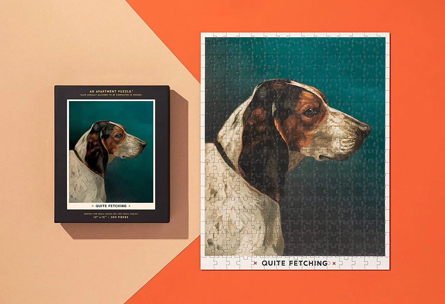 Quite Fetching Apartment Puzzle