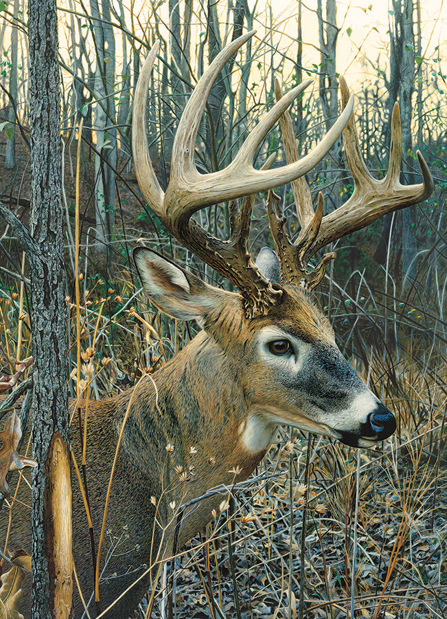 White-tailed Deer Forest Animal Jigsaw Puzzle