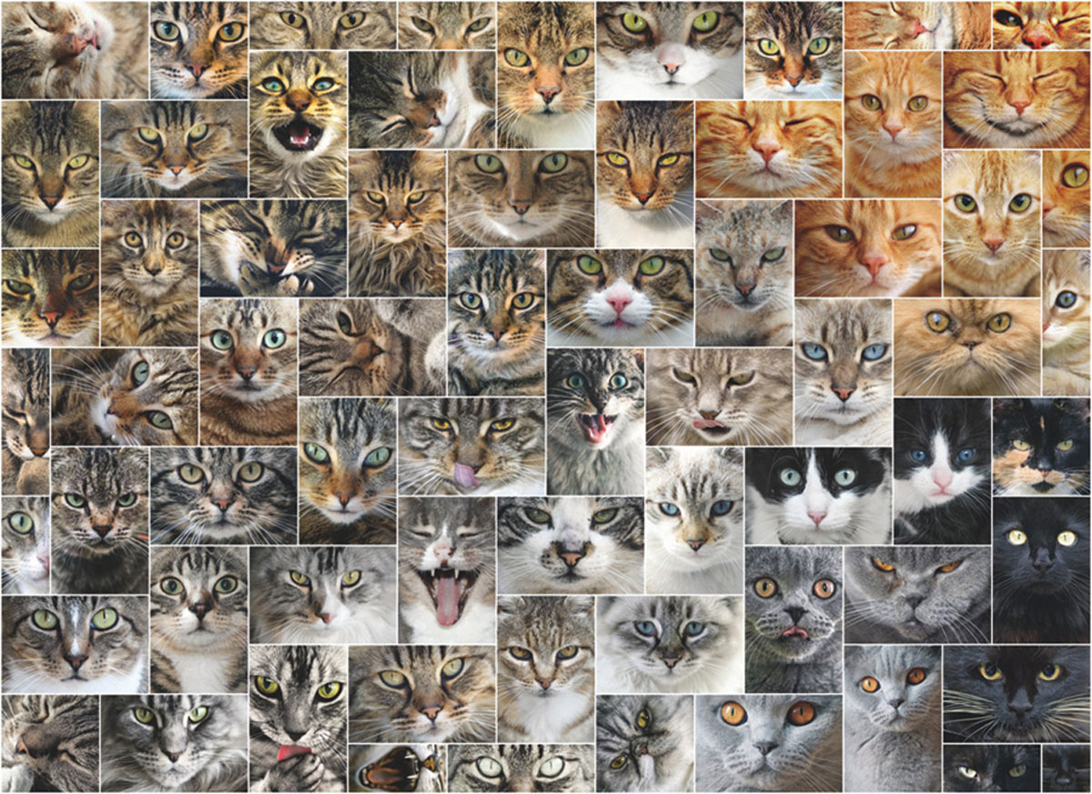 Cat Faces Cats Jigsaw Puzzle