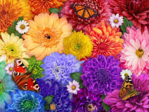 Flower Spectrum (Lena) Flower & Garden By Ceaco