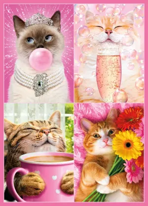 Avanti Cat Fancies Cats By Ceaco