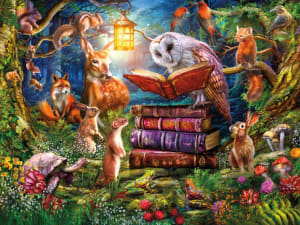 Night Time Story Fantasy By Ceaco