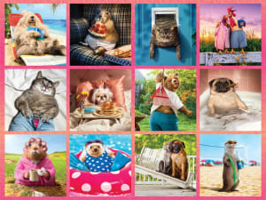 Hilarious Animals Collage By Ceaco