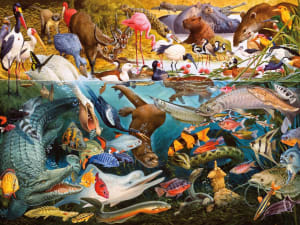 Above and Below: Tropical Waters (John Francis) Animals By Ceaco