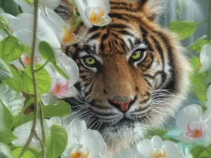 Orchid Haven (Collin Bogle) Big Cats By Ceaco