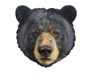 I Am Bear Bear By Madd Capp Games & Puzzles
