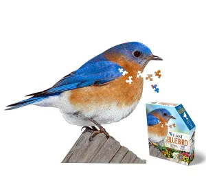 I AM Bluebird Birds By Madd Capp Games & Puzzles