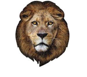 I AM Lion Big Cats By Madd Capp Games & Puzzles
