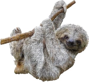 I Am Lil' Sloth Jungle Animals By Madd Capp Games & Puzzles