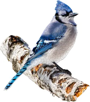 I Am Blue Jay Birds By Madd Capp Games & Puzzles