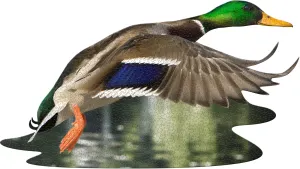 I AM DUCK Animals By Madd Capp Games & Puzzles