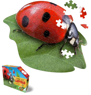 I Am Lil' Lady Bug Butterflies and Insects By Madd Capp Games & Puzzles