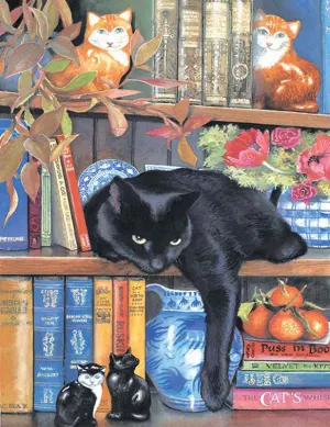 On the Shelf Books & Reading By SunsOut