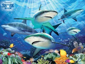 Shark Reef Shark Week - Discovery Sea Life By Prime 3D Ltd