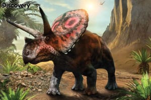 Torosaurus - Discovery Dinosaurs By Prime 3D Ltd
