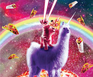 Laser Llama Kitty Unicorn By Buffalo Games