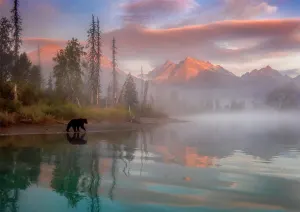 Bear Reflection National Parks By Buffalo Games