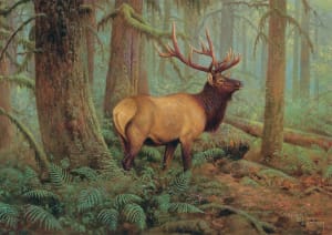 Bonjour: Forest King Forest Animal By Buffalo Games