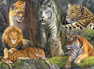 Big Cat Collage Big Cats By Buffalo Games