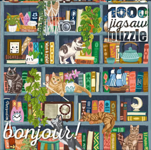 Cats at Home Library Around the House By Buffalo Games