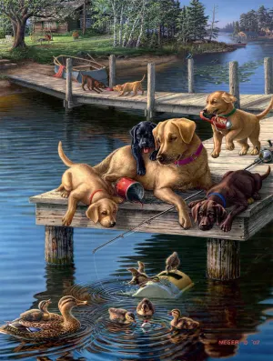 Dog Days: Summer School Lakes & Rivers By Buffalo Games