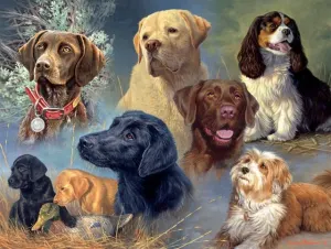 Hautman Brothers: Treasured Friends Collage By Buffalo Games