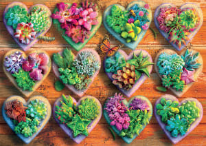 Heart Succulents Valentine's Day By Buffalo Games
