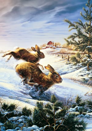 Hightailing Bunny By Buffalo Games