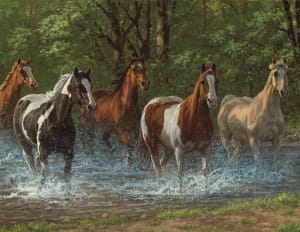 Summer Creek Lakes & Rivers By Springbok