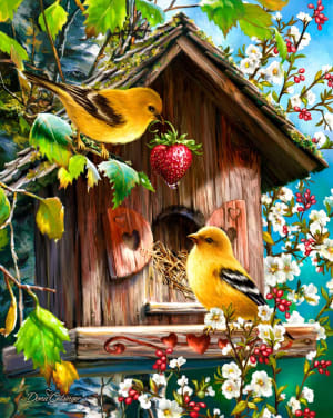 Home Tweet Home Flower & Garden By Springbok