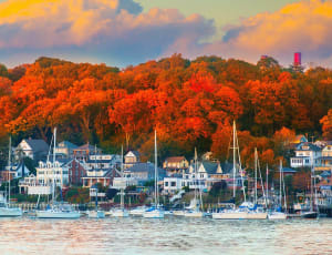 Harbor In The Fall  Boat By Springbok