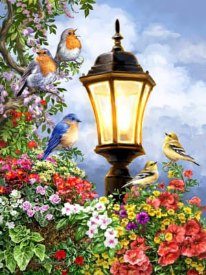 Song of Summer Flower & Garden By Springbok