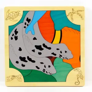 Seals Fish By Springbok