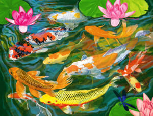 Koi Pond Fish By Springbok