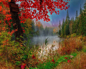 Early Dawn On The Lake Lakes & Rivers By Springbok