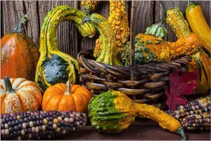 Harvest Colors Fruit & Vegetable By Springbok