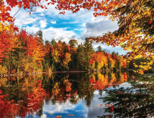 Autumn Lake Lakes & Rivers By Springbok