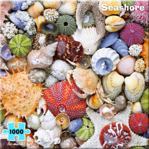 Seashore Photography By Re-marks