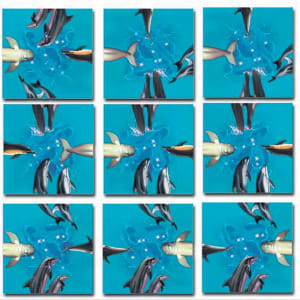 Dolphins Dolphin By Scramble Squares