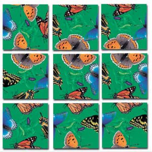 Butterflies Butterflies and Insects By Scramble Squares