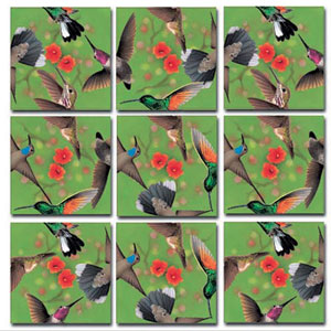 Hummingbirds Birds By Scramble Squares