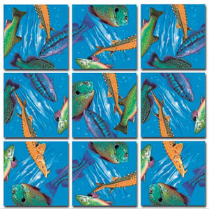 Freshwater Fish Fish By Scramble Squares