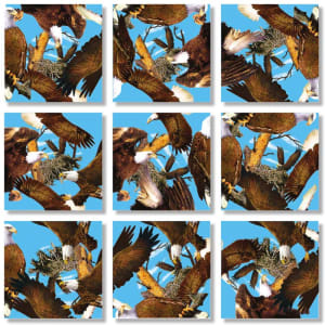 Bald Eagles Eagle By Scramble Squares