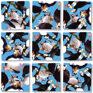 Puffins Birds By Scramble Squares